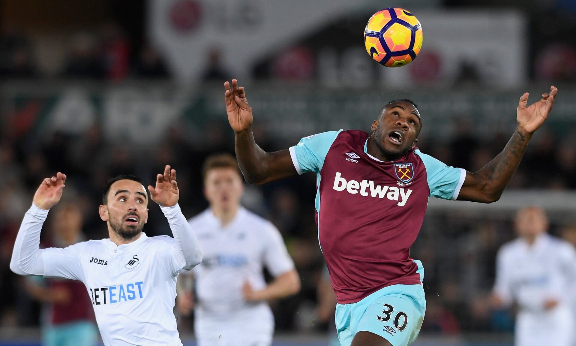 训练还引入 训练还引入